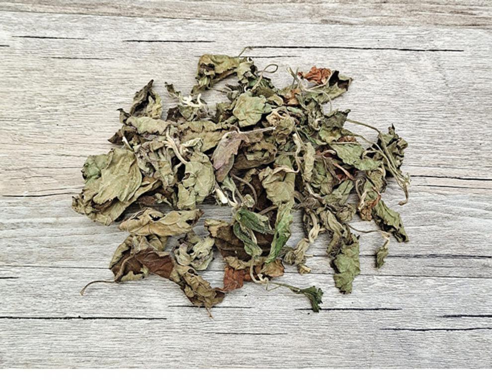 构趣纯藿香叶子广藿香叶干货500g中药材散装晒干生野藿香茶另有佩兰