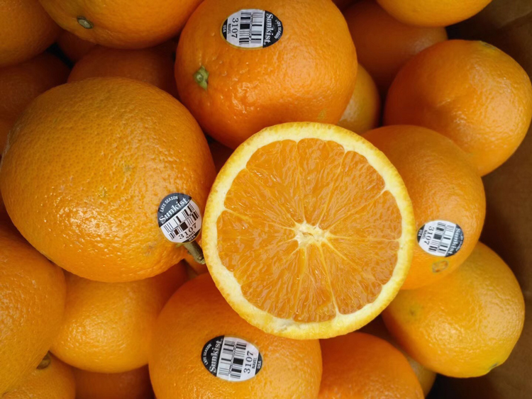 美国进口新奇士3107黑标脐橙sunkist进口橙子甜橙新鲜水果15个礼盒装