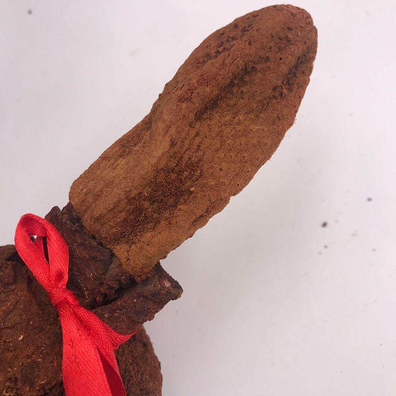 西藏顶天柱续阳草回春草不老草肉苁蓉锁阳男性泡酒料回