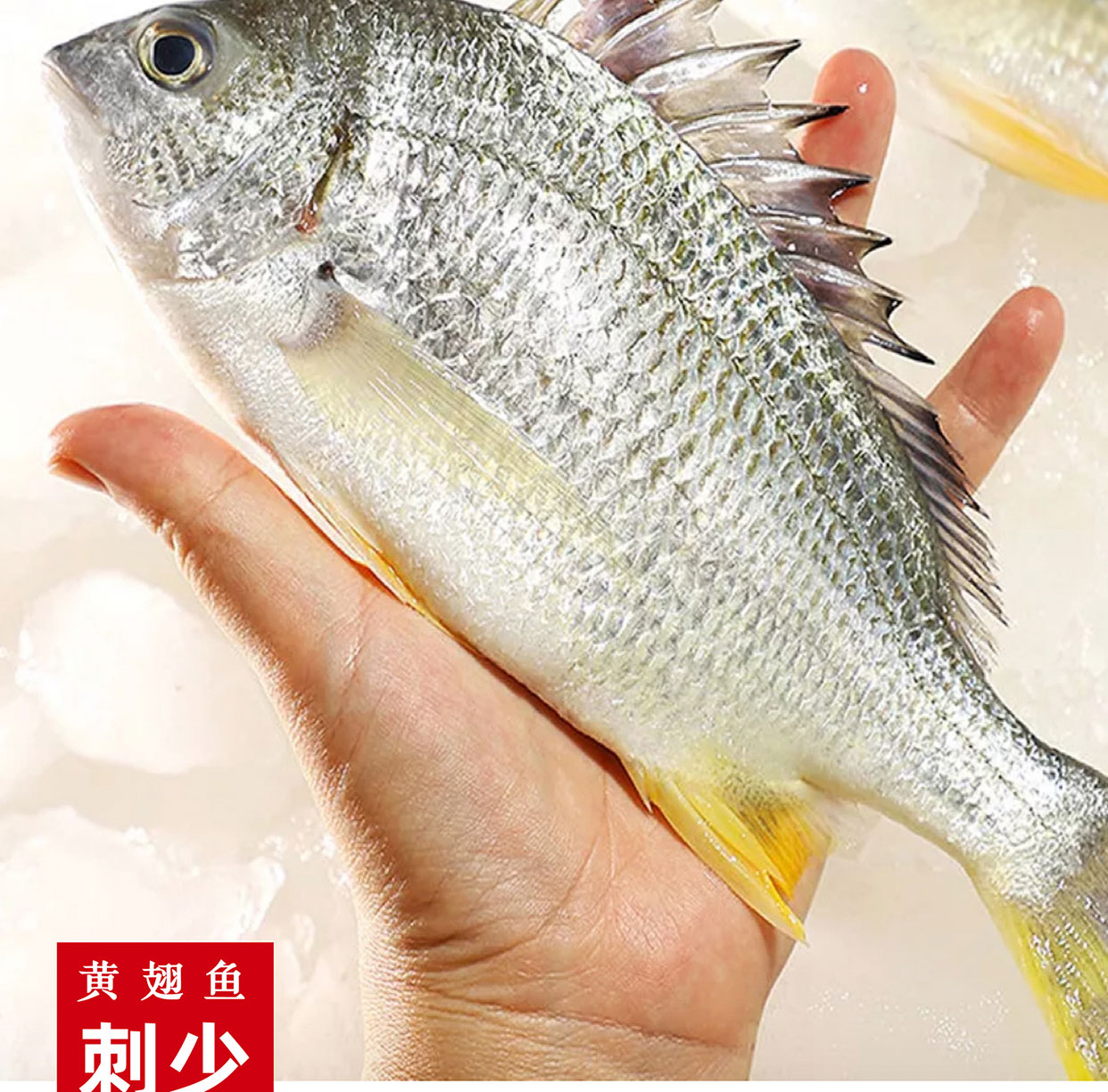 野生黄翅鱼横富港海鲜黄鱼鲜活冷冻深海鱼宝宝辅食福建水产黄翅鱼1斤