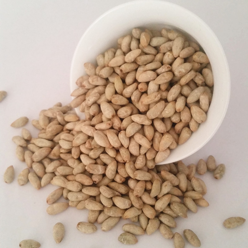 棉花籽 棉籽仁 棉仁 棉花 棉花子种子 去壳棉籽 棉花种子 带壳棉籽1斤