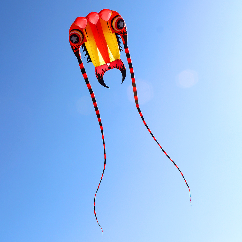领航风筝新奇特征风三叶虫充气风筝立体风筝7平米