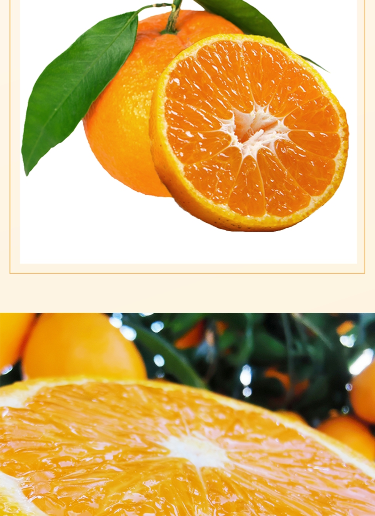 四川汉源应季水果青果柑新鲜橘子现摘10斤整箱 10斤 中果【图片 价格