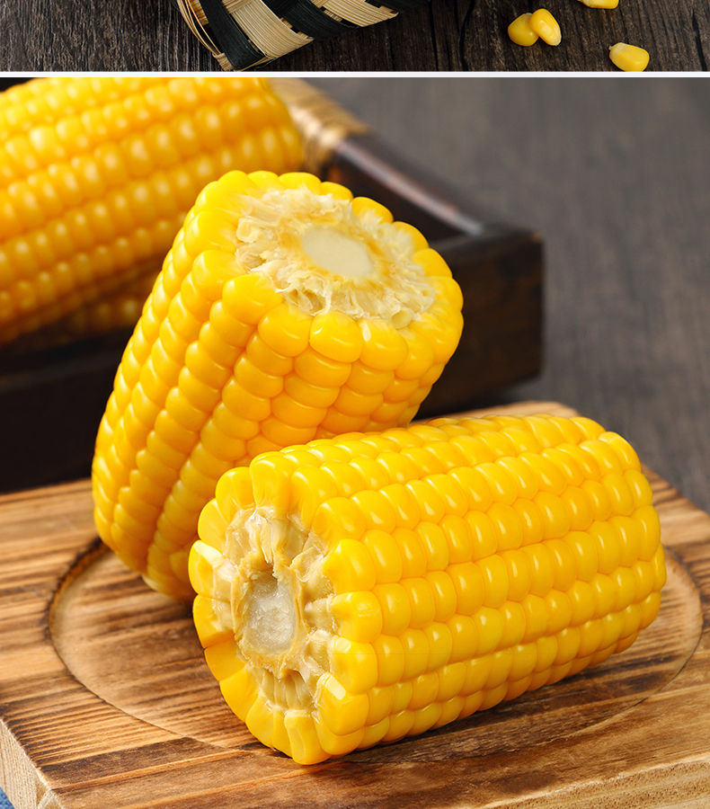 【严选好物】新玉米十月稻田熟玉米棒180g多根真空甜鲜粘糯新黄玉米