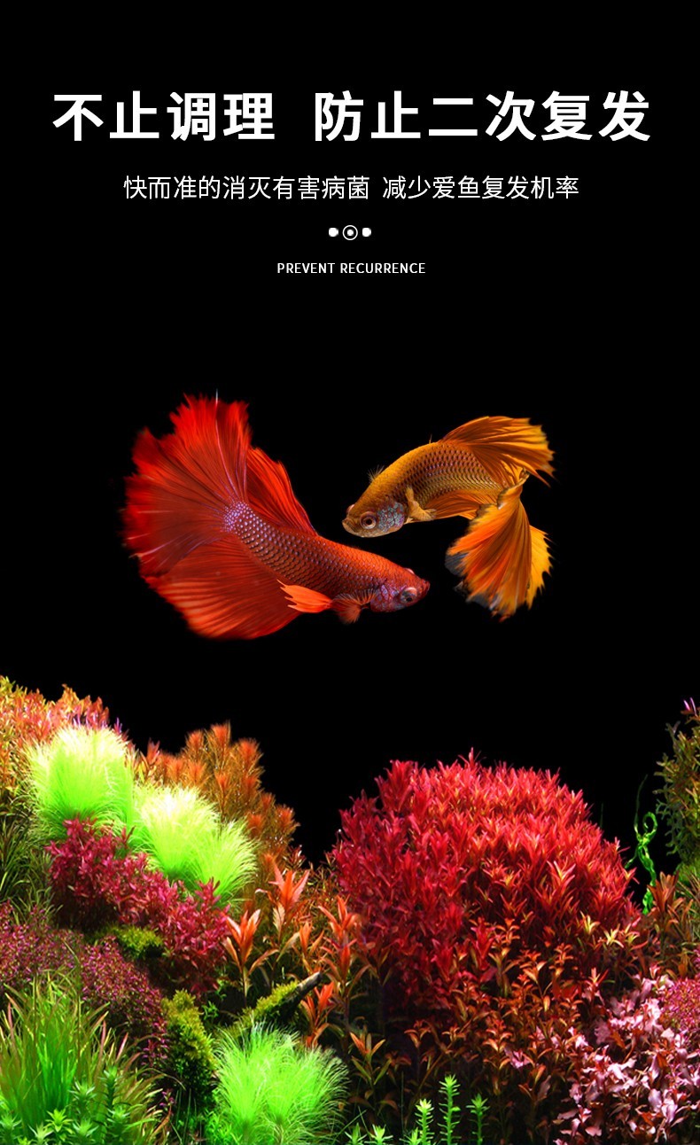 贝意品亚甲基蓝溶液白点净鱼药观赏鱼金鱼锦鲤鹦鹉鱼乌白毛水霉病烂尾