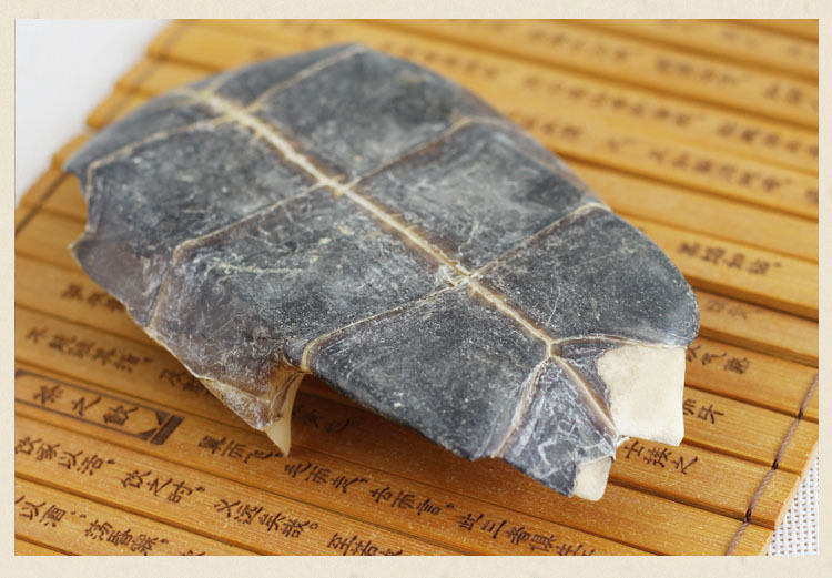 中药材龟板龟板粉 龟甲 鬼壳乌龟壳天然旱龟板有制龟板 龟板【1000克