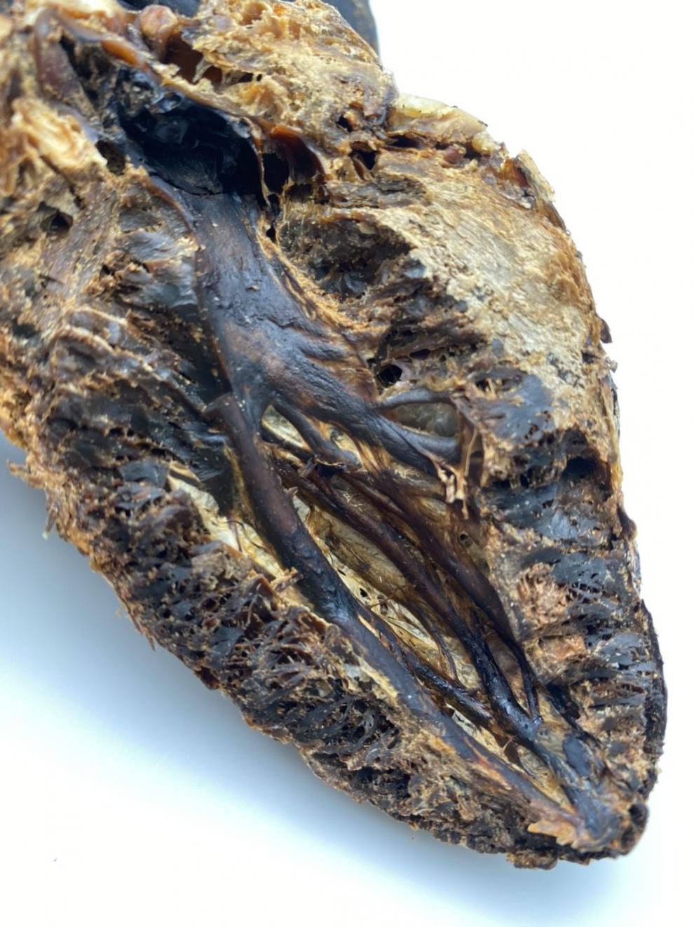 正宗梅花鹿心干鹿心磨粉丰富鹿心血产地直供保养心脏滋补煲汤泡酒整个