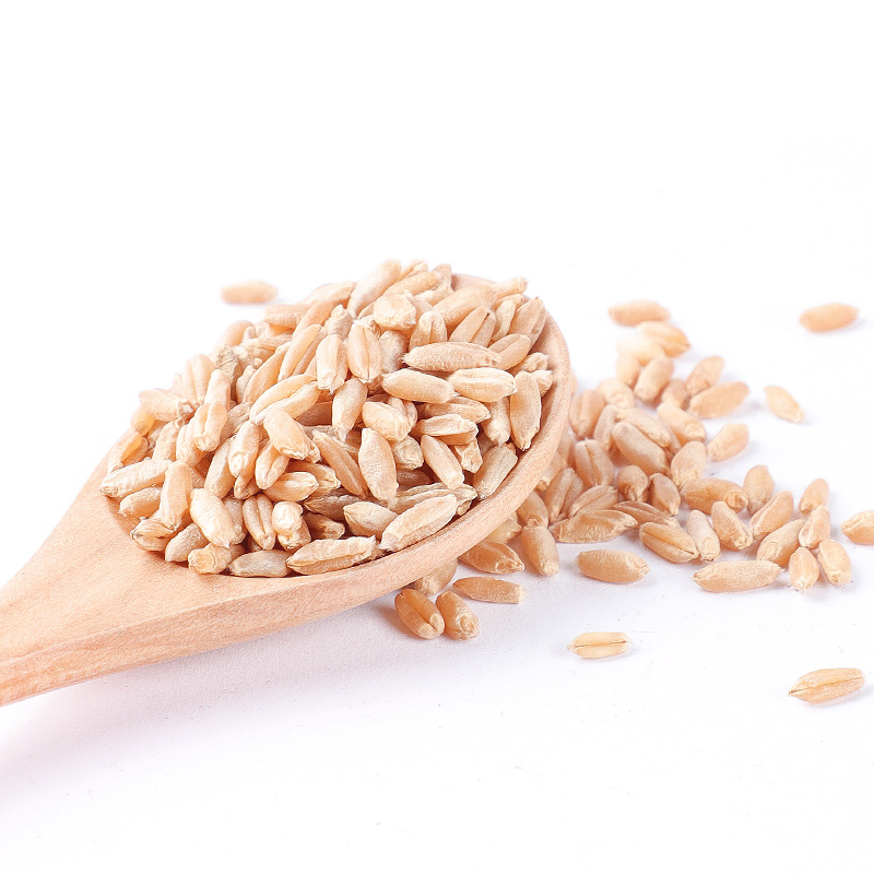 徽京华尊 淮小麦中药材500克 怀小麦新中药材店铺中药房药药材 500克