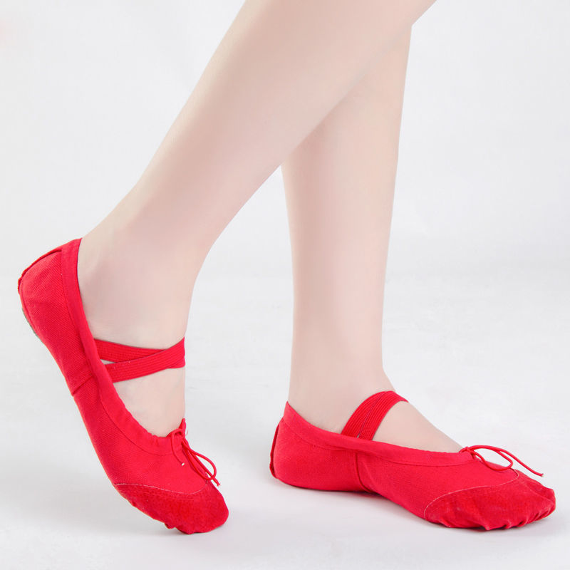 肚皮舞鞋子女印度舞舞蹈鞋金色软底猫爪鞋表演出练习练功鞋牛筋底 金