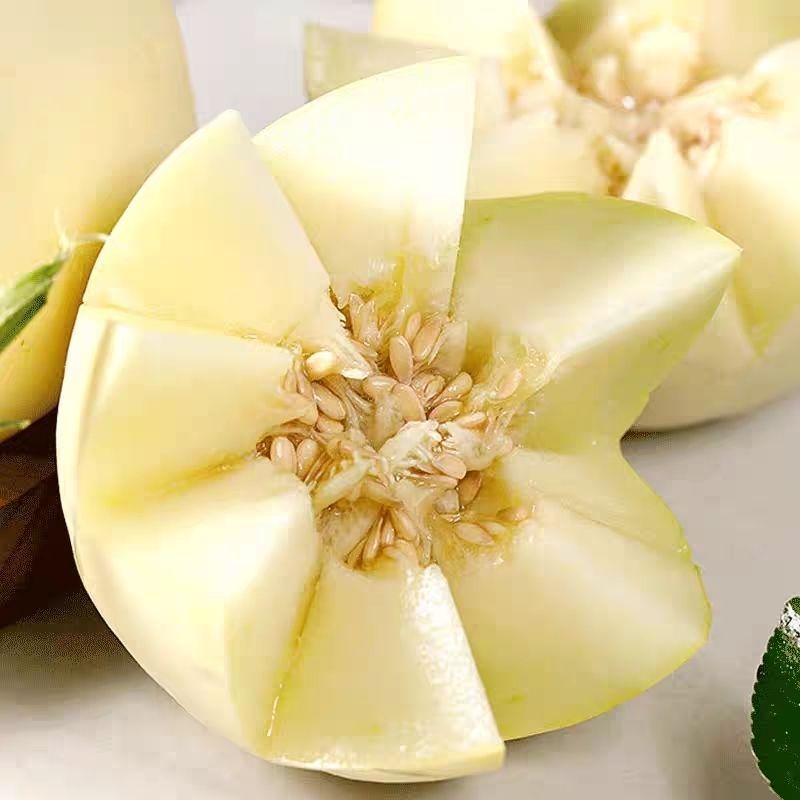 云南郁金香白甜瓜小瓜蜜瓜香瓜脆瓜水果新鲜孕妇2-8当季整箱 郁金香