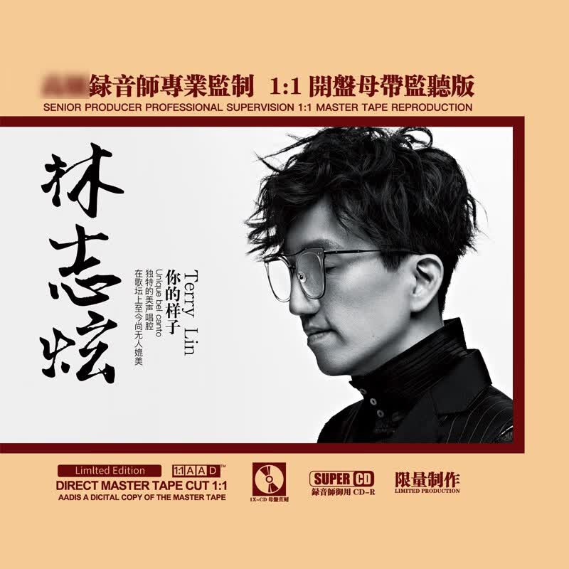 林志炫 你的样子 1cd