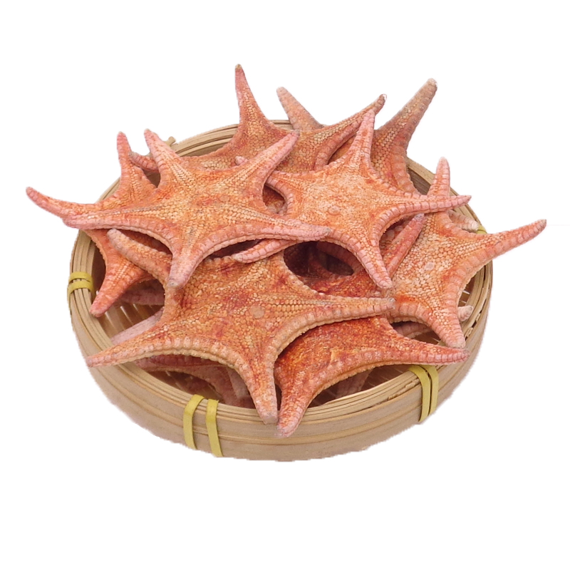 同仁堂中药材南澳岛天然海星250克g干货海鲜海盘车五角星煲汤泡酒料刺