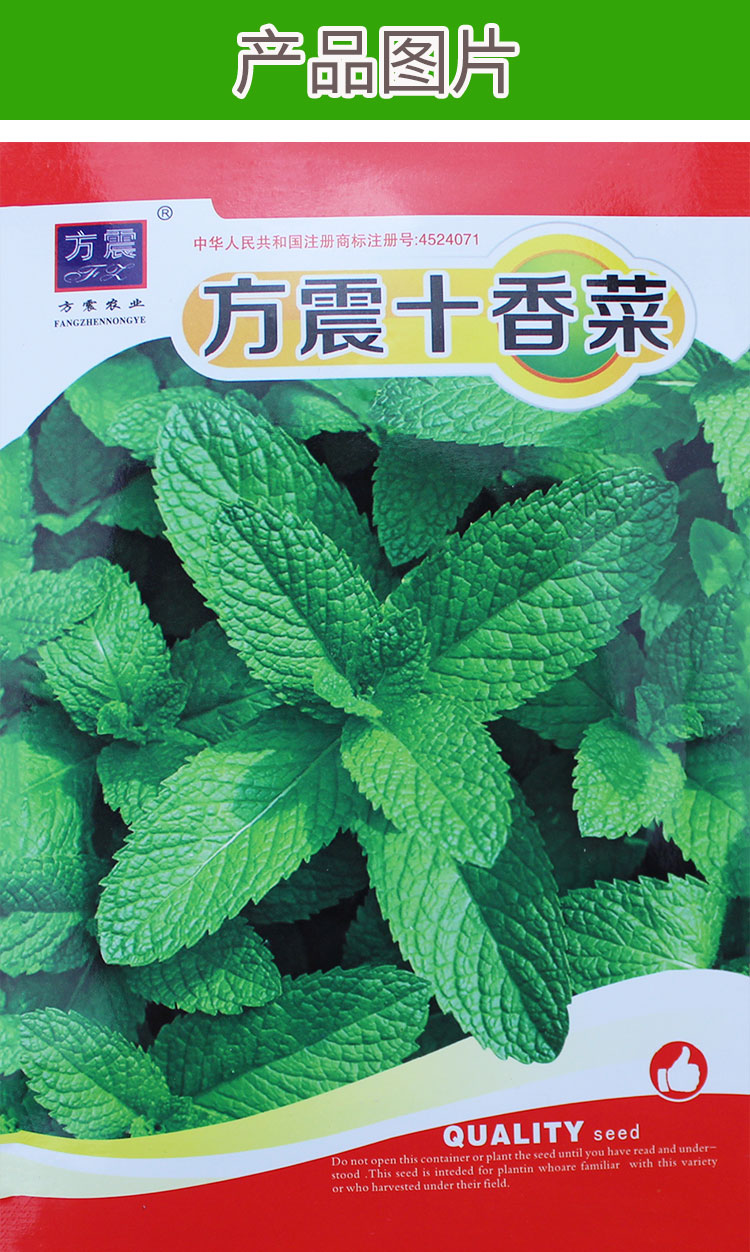 河南十香菜種子種籽石香菜薄荷食用魚香草四季魚香菜盆栽蔬菜種孑 十