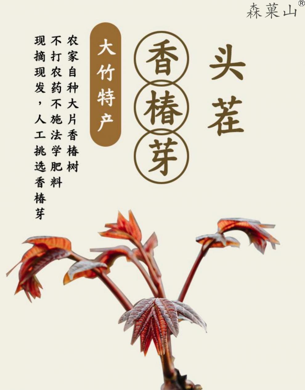 四川大竹香椿芽 达州特产现摘红油香椿新鲜蔬菜香椿头茬露天红油香椿