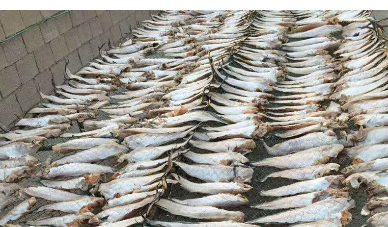 赣香婆 威海渔家自晒海兔干老冷干大马哈鱼干整条大2份 500g 500g