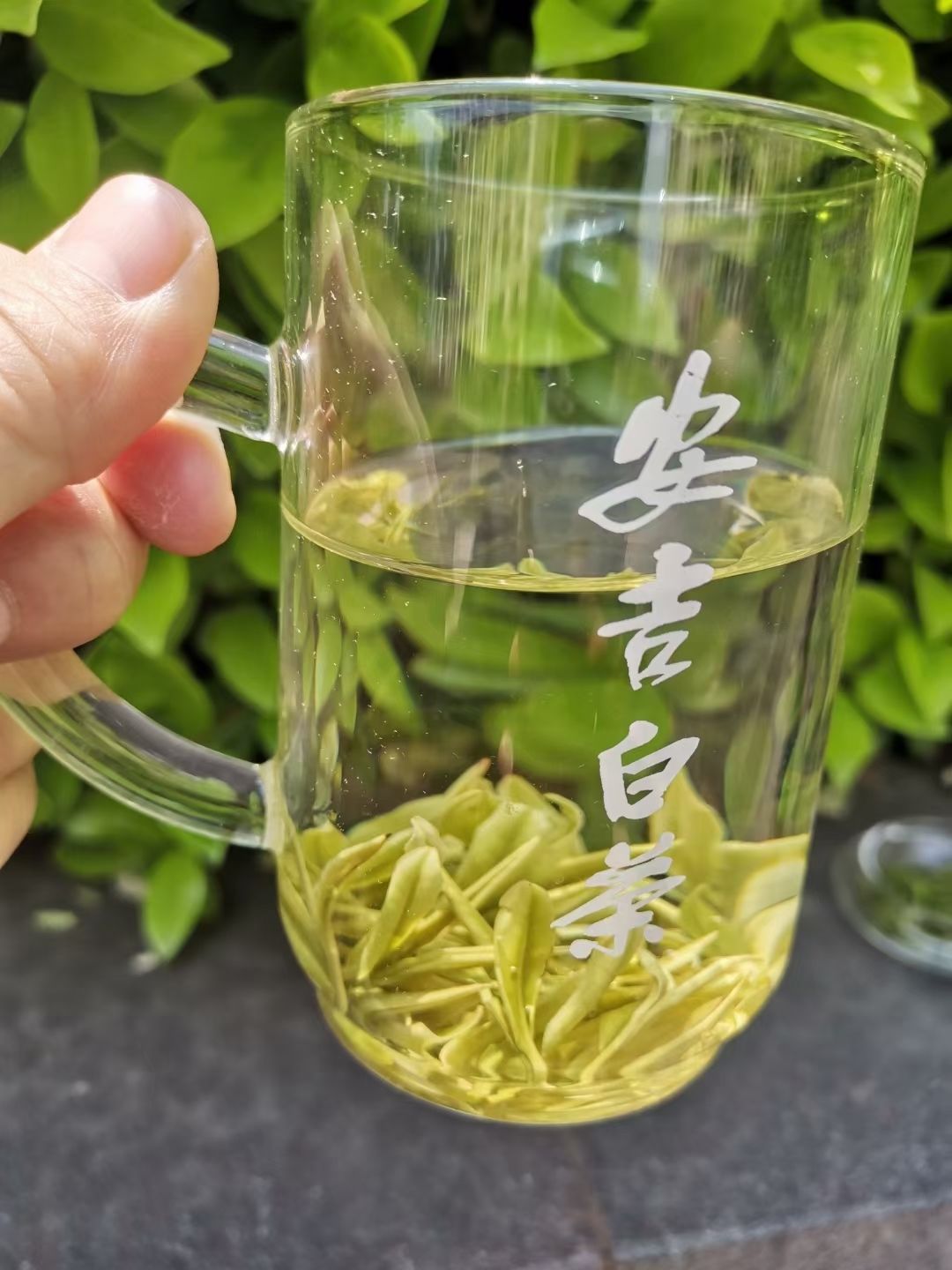 安吉珍稀白茶2021新茶特级茶叶明前绿茶黄金芽正宗原产地礼盒装 半斤