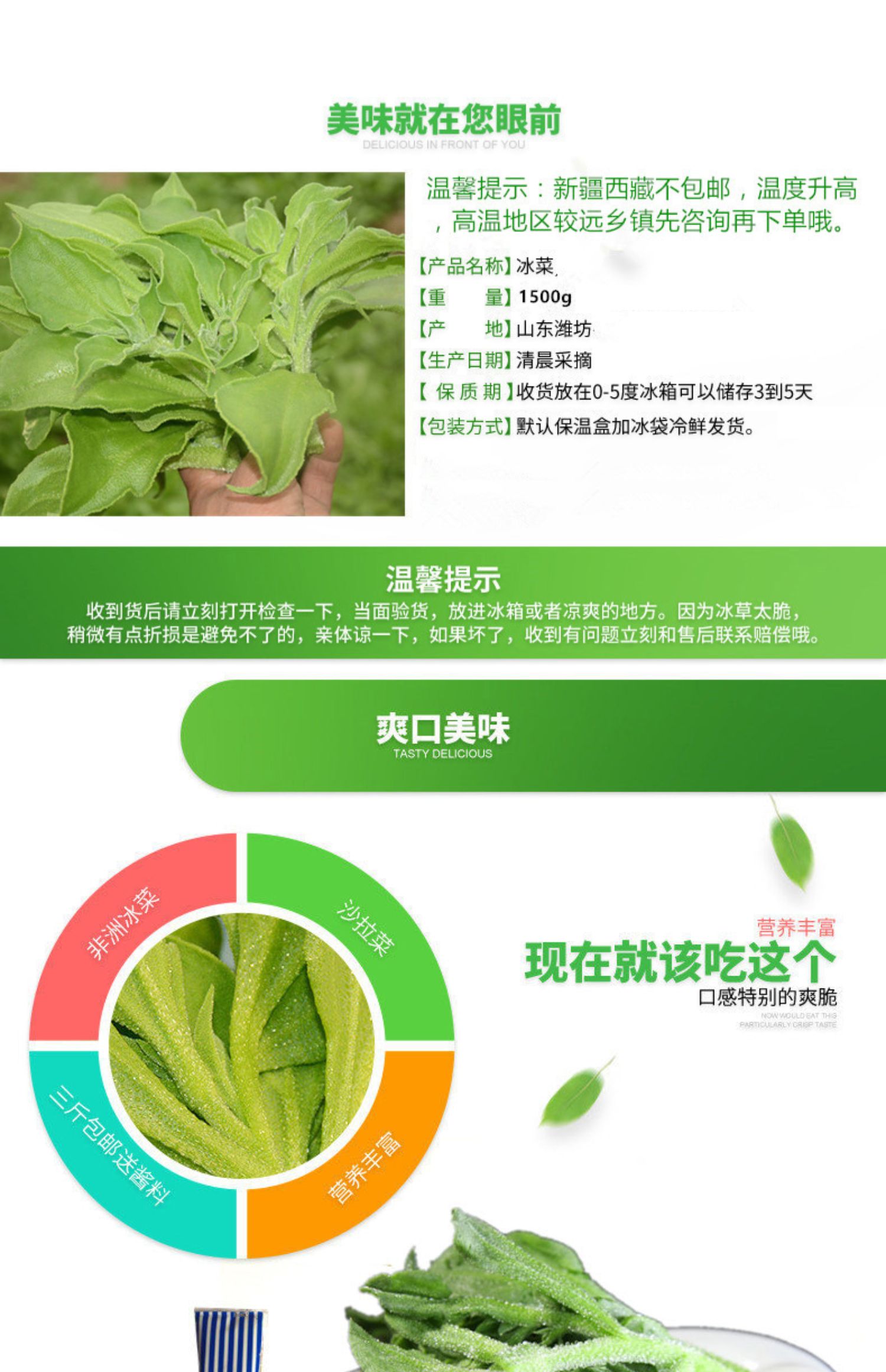 新鲜冰草3斤冰菜蔬菜非洲花冰叶火锅即食生吃沙拉菜新鲜整箱 1500g