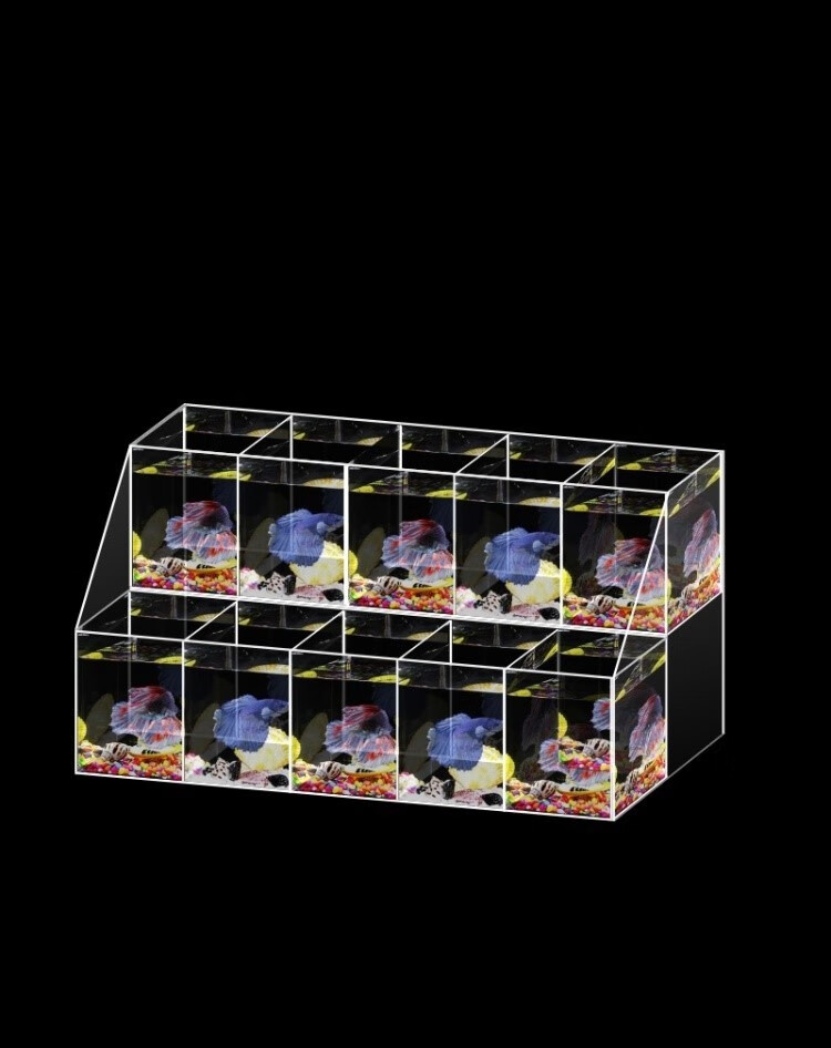 多格斗鱼排缸 斗鱼排缸养斗鱼的鱼缸斗鱼鱼缸多格斗鱼组缸斗鱼专用缸