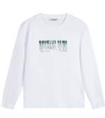 d1addd350d70f320.png