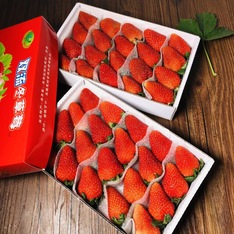 四季草莓新鲜双流草莓烘焙蛋糕奶茶装饰批发草莓4盒装现货 2600g28颗