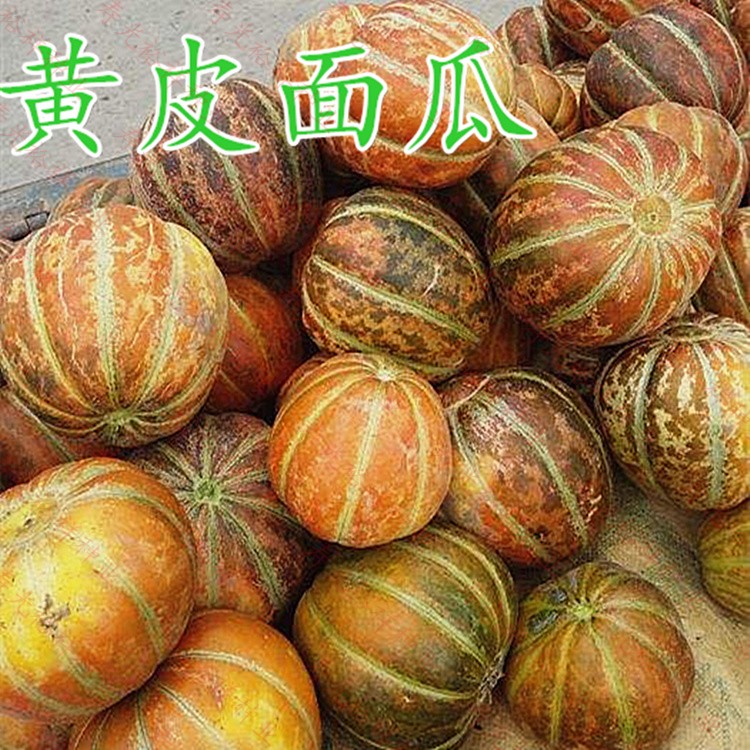 老品种面瓜种籽黄皮黑皮花皮面瓜种子露地生吃甜瓜香瓜四季可留种 花