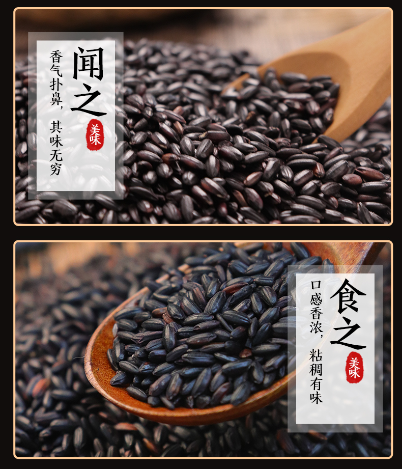 东北黑米5斤 黑米新货黑龙江农家自产五常黑香米五谷杂粮黑米粥