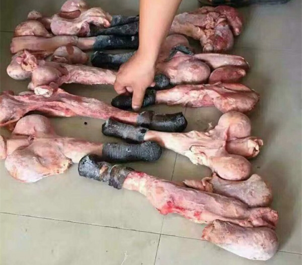 驴肾驴宝送养生健体泡酒料另售牛鞭羊鞭鹿鞭泡酒组合 120克驴鞭