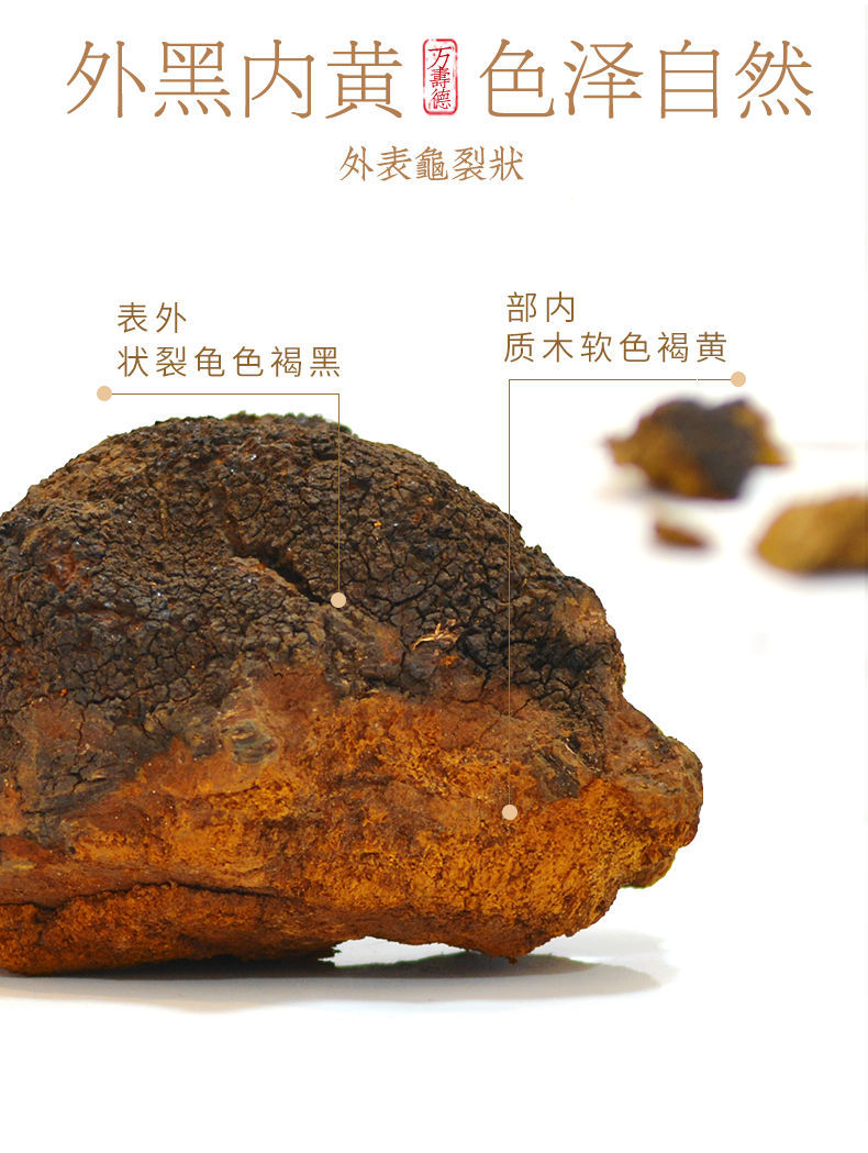 长白山桦树茸精品白桦茸特级桦树孔菌黑晶颗粒茶正品桦树茸200克罐