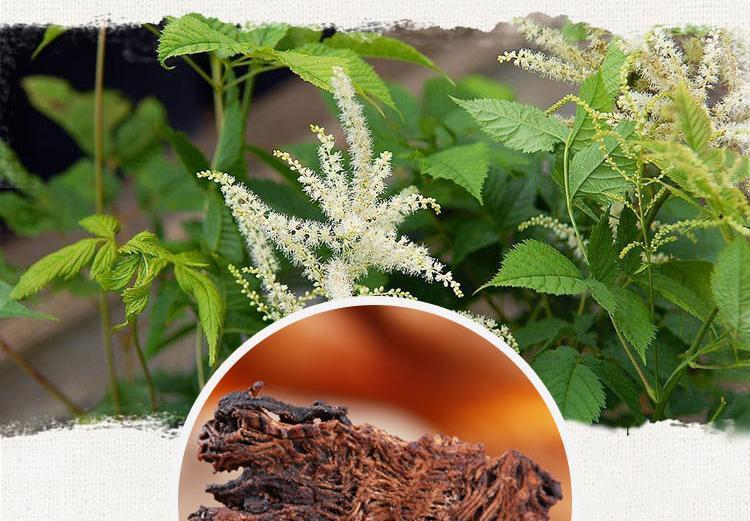 蜜炙升麻500克 云南制升麻 窟窿芽牙根 苦老芽根 绿升麻茶【图片 价格