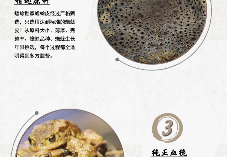 10张癞蛤蟆皮干干蟾蜍粉蟾蜍活体癞疙宝赖疥蛤蟆10张