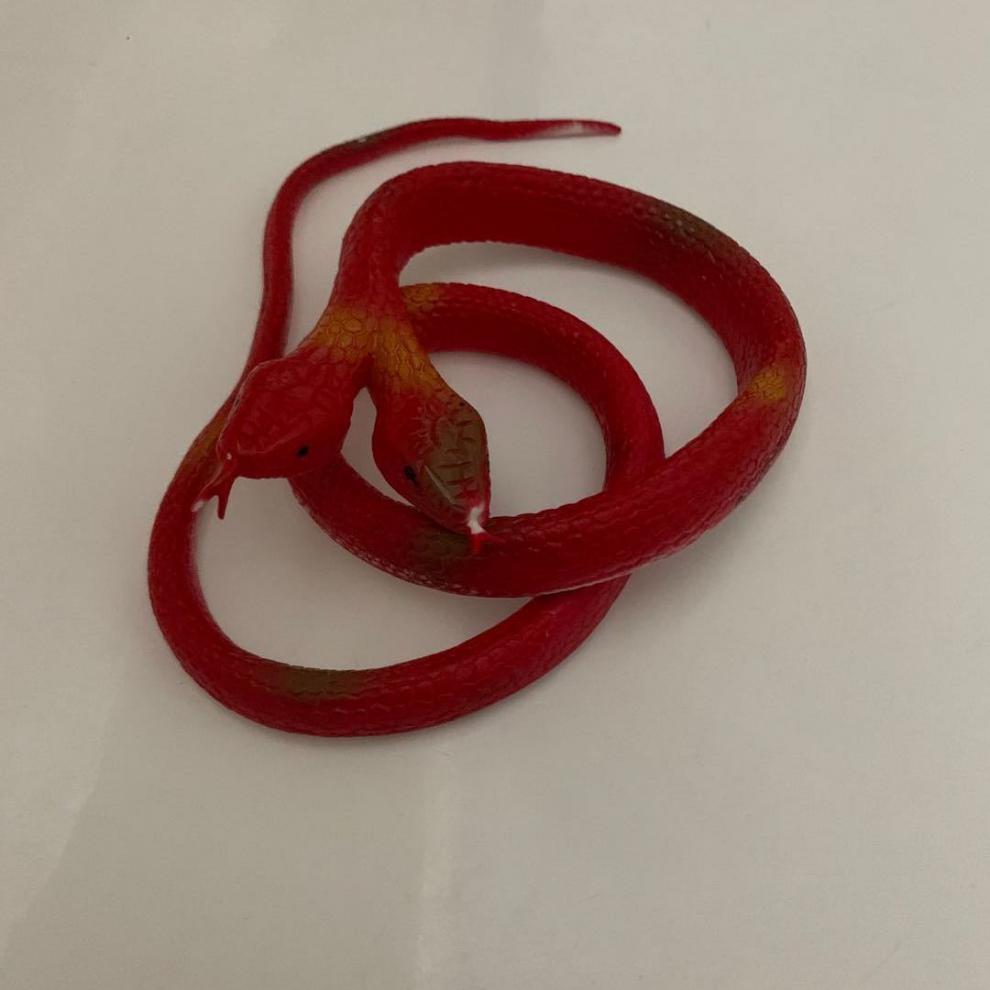 双头眼镜蛇玩具大号橡胶蛇70厘米创意整蛊恶搞吓人仿真软胶假蛇儿童