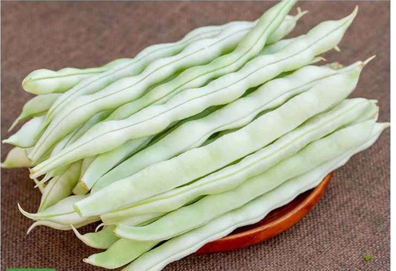 山东新鲜白芸豆角白不老老来少芸豆角5斤四季豆北方蔬菜应季云 5斤