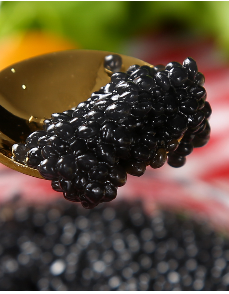 俄罗斯进口鲟鱼黑鱼籽酱鲟鱼子105g日韩寿司料理原装罐头下饭