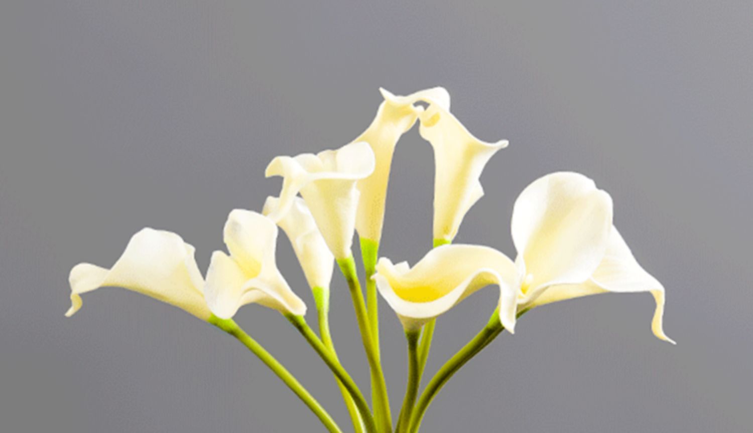 长颈细口花瓶鲜花插花瓶小口径摆件客厅花瓶透明玻璃网红轻奢水养创意