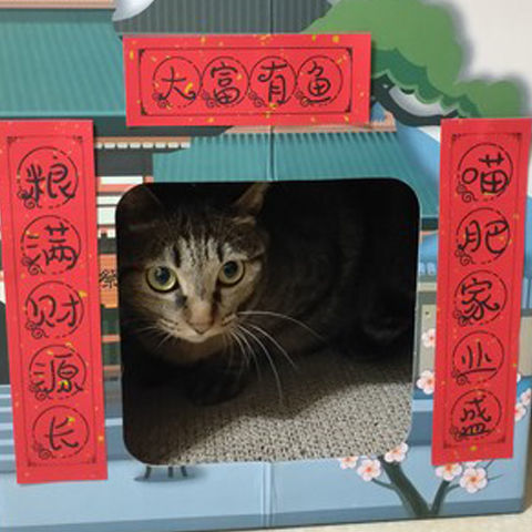 承格巨 趣味对联春联宠物猫厕所对联猫对联宠物用品春节喜庆装饰不干