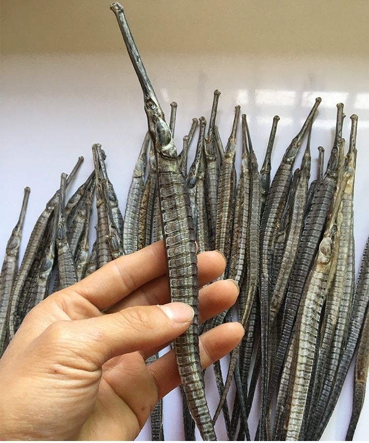 【海龙干货】新晒大海龙大刁六角海龙 海产干货中药材泡酒料可搭配