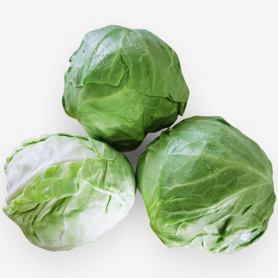 云南高原甘蓝菜圆白菜包菜包心菜卷心菜蔬菜新鲜基地现采现发 3斤