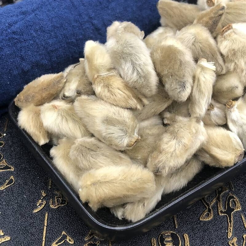 鹅不食草苍耳子辛夷花新鲜野生干货散中药材鹅不吃草茶 【1罐】辛夷花