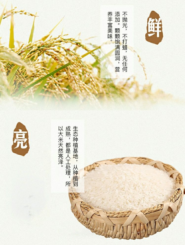 2020江苏粳米南梗5055大米10kg新米常州太湖软香米珍珠米10斤20斤太湖