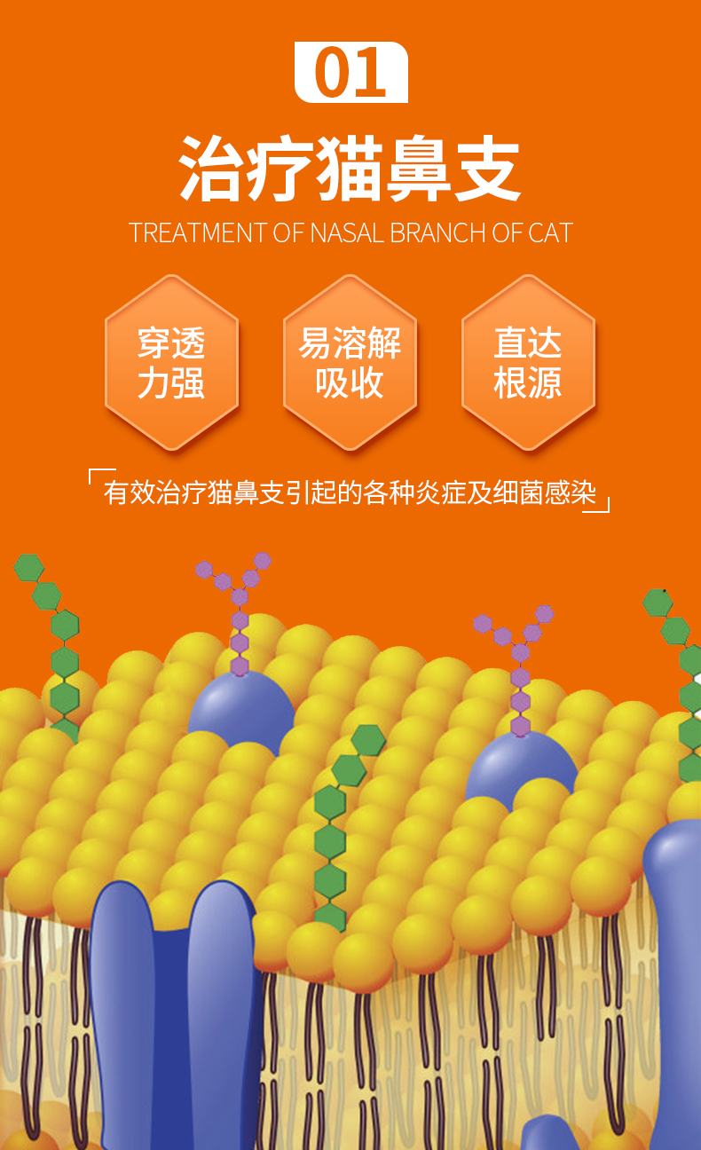普安特维普达猫鼻支治疗药狗狗皮肤病猫支片感冒药咳嗽药猫口炎泌尿
