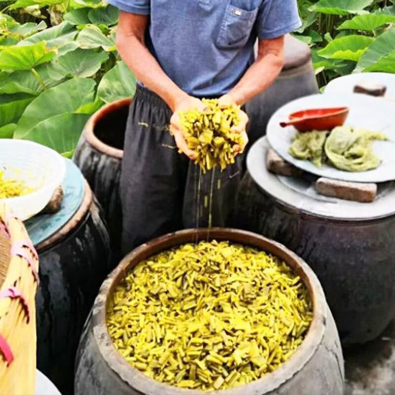 【需炒】广西芋苗酸农家特产新鲜腌制蔬菜芋荷杆梗下饭菜泡菜批发 芋