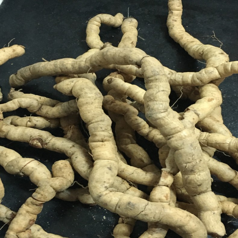 德庆新鲜巴戟天生鲜500g男性煲汤泡酒料中药材风流果锁阳玛卡 图片色