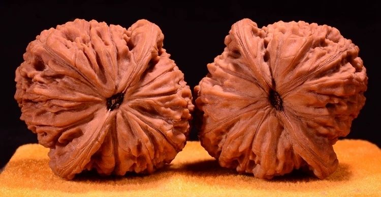 王勇纹官帽特大精品文玩核桃异形狮子头收藏级苹果园闷尖磨盘 精品