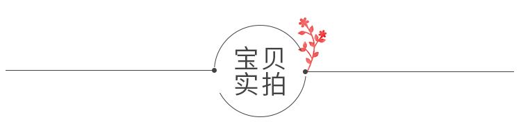 Shiseido Spots Cover Foundation H100 20g