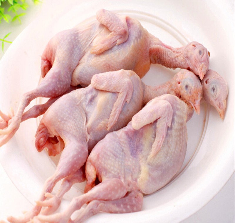 莘县馆小憨货新鲜禽肉农家活体现宰乳鸽3只装约1050g