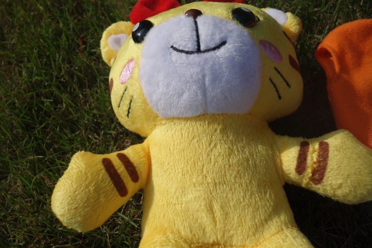 早教安抚巧虎公仔虎毛绒玩具玩偶琪琪穿衣小花妹妹有尿不湿橘小花其它