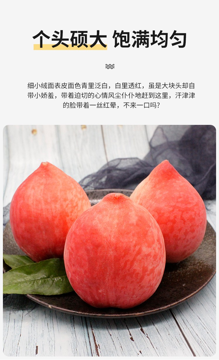 顺丰山西运城水蜜桃现摘新鲜大桃子脆桃应季新鲜水果带箱9斤