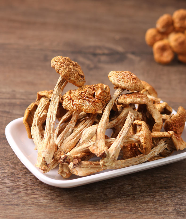 东北大兴安岭新货滑子菇干货小黄磨滑菇香菇类山货小鸡炖蘑菇250g实惠