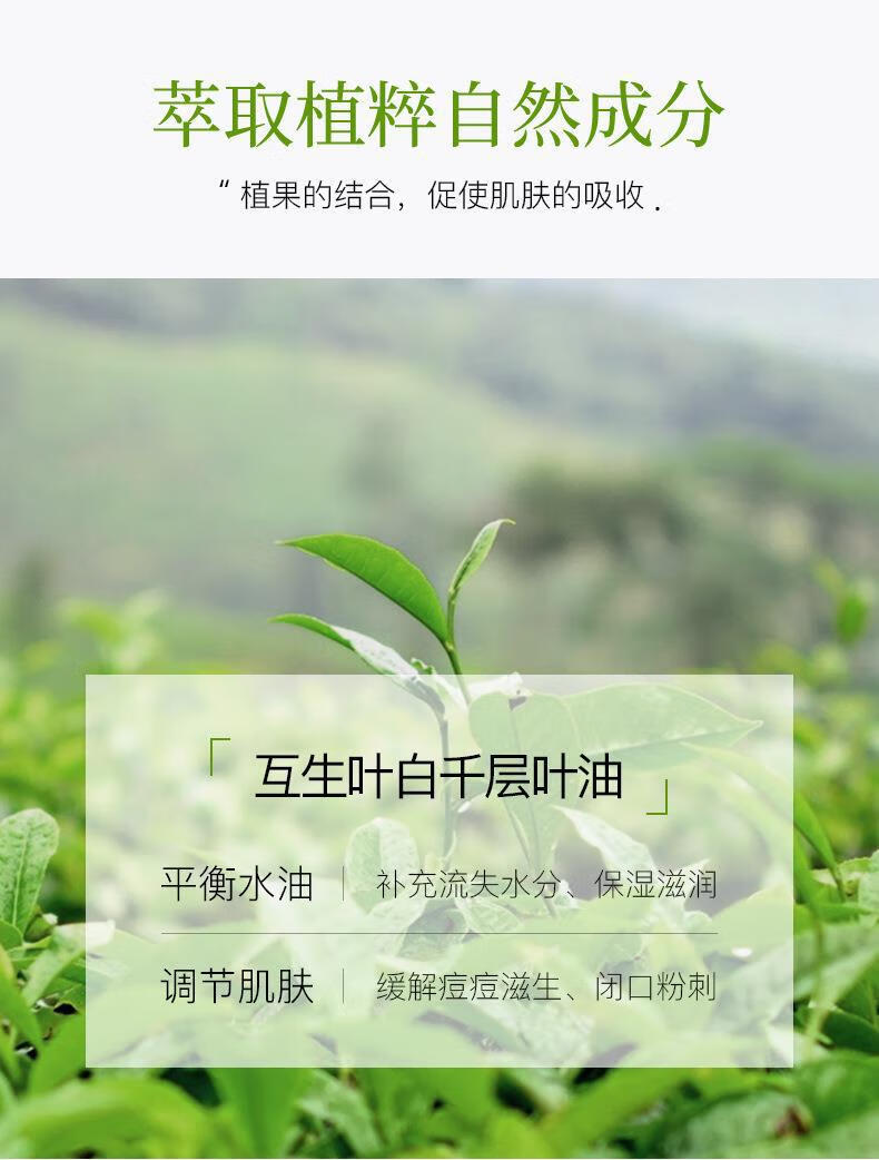 冰菊（Bing Ju）【抢30片】新款茶树净颜祛痘面膜贴滋润干燥缺水粗糙肌肤适用男女 10片散装