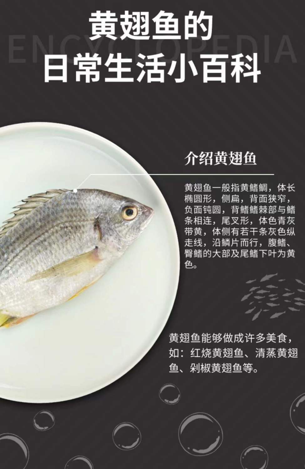 活冻黄翅鱼 野外海捕黄鳍鲷赤翅鱼黄脚立鱼 500g(2-3条)【图片 价格